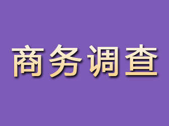 江达商务调查